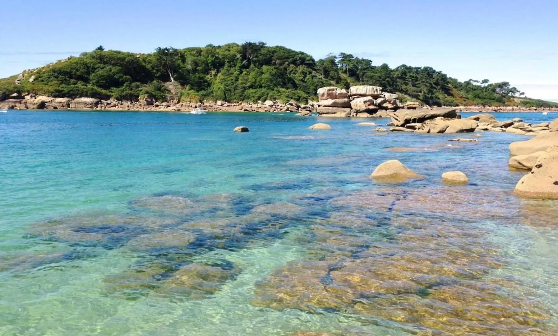 Grande Maison Vue Sur Mer 9 Pers A Trebeurden - Ref 682